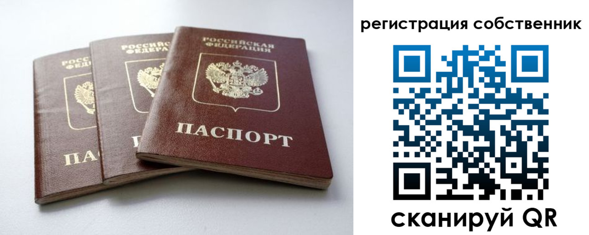 прописка для школы в Иланском